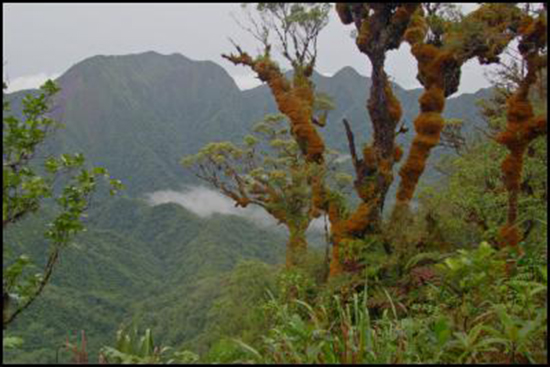 Mt Rano from the crater rim near Mt Veve. Image: Andrew Cox/Scoop