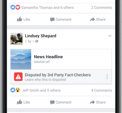 Facebook's fake news flagging system.